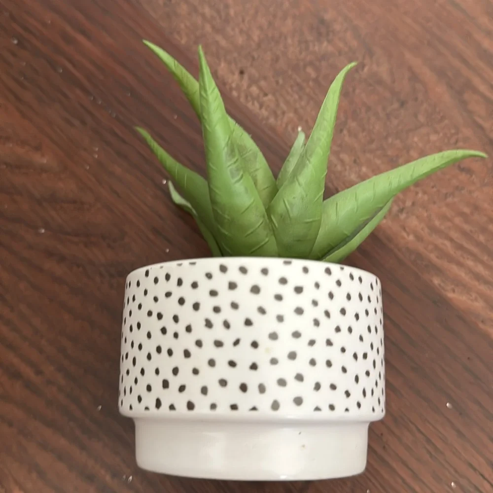 Design Group Faux Plant Size OS Color White Green Black